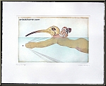 Michel Lablais: Etching Swimming Birdman 'Homme-Ibis, signed, peculiar swimmer - Graphic work, Original Prints