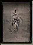 Paul Wunderlich: Fossilized Pineapple, Lithograph 1972, signed