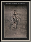 Paul Wunderlich: Fossilized Pineapple, Lithograph 1972, signed, Archaeology, edition of 40 - Original Prints