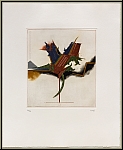 Tuvia Beeri: 'Hibiscus' 1993, Original etching and aquatint in colors on Arches paper, signed - Rare Prints